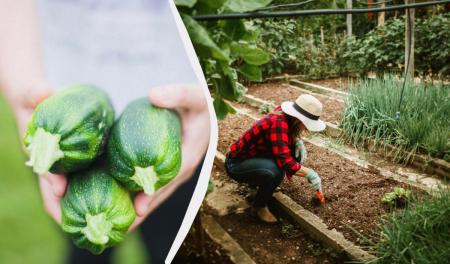 1776423026-2770_22.04.26