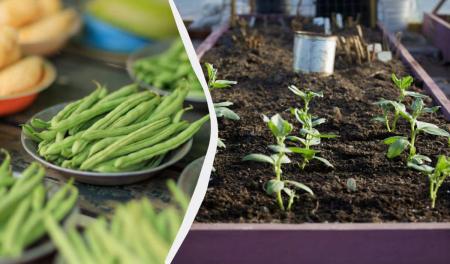 1776432221-6271_18.04.26