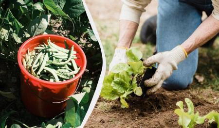 1776438759-2711_25.04.26