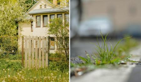 1776623667-6693_25.04.26