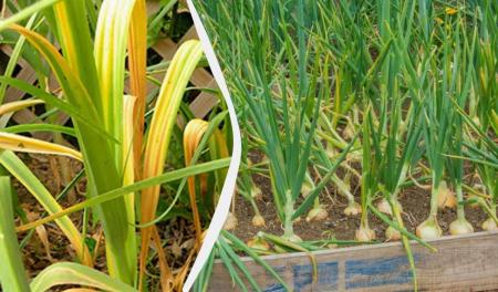 1776692695-2337_22.04.26