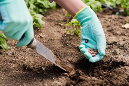 1776765000-1318_25.04.26