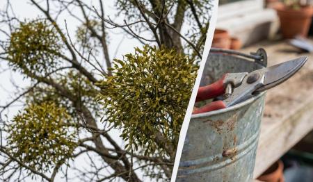 1776962678-6643_30.04.26