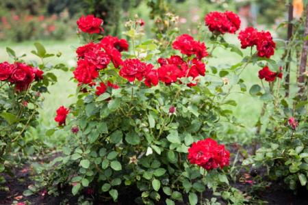 1777142734-4001_27.04.26