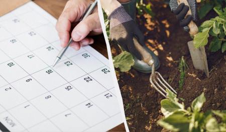 1777269125-9725_30.04.26