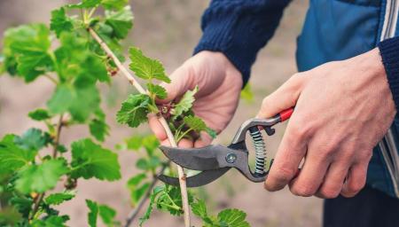 1777288469-8095_29.04.26