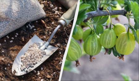 1777382103-3123_30.04.26