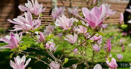 17a784d715b333e708aae2253a6ef238_15.04.26