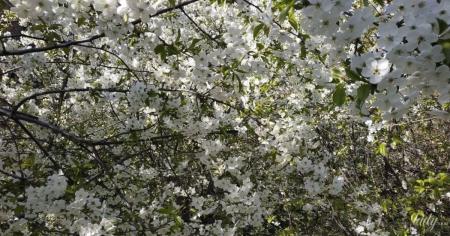 19a6b00a4ce69c9295fd9a78bdf82355_05.04.26