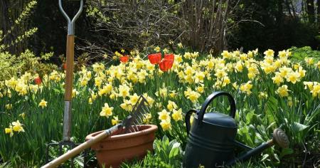 19b7bd28d447d160dc62f5a8b5f4c1fb_26.04.26