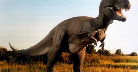 1a91a21a042a19665565755779c8d0bb_27.02.26