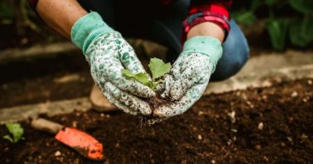 1cc390b6c5748d28d7626c2f7dce795a_01.04.26_1