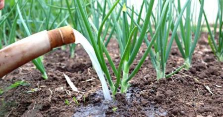 1ecf7d13d7e90081f46af00e36bed8c6_10.04.26_1