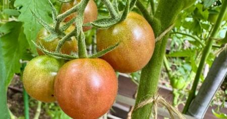 1ed5eeb5638997300e027c74df3e0a7b_30.04.26_1