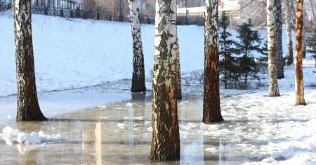 1f6b8555976d5f2ecf62f23a2b9c22ee_14.02.26