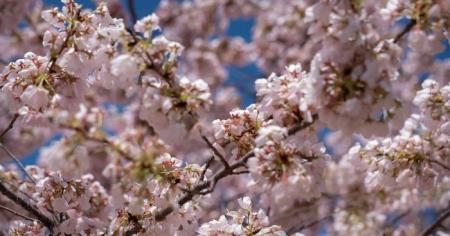 20c0ce703864ba994042921932346b48_08.04.26_1