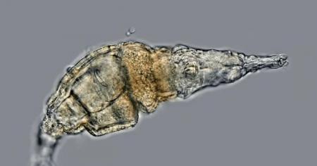 240b675a543ab1bd588a653078aad949_18.03.26_1