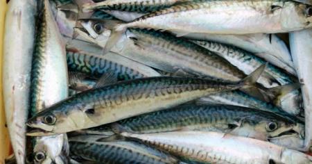 2803a7ffd82ccd83e891fa8bc4ec7bfb_06.03.26_1