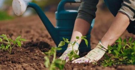 2a6c6697af2cd2f369f2855f93241992_03.04.26_1