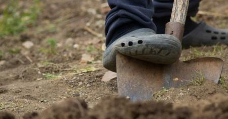 2abd9f7ae76a088a3e2c629e974459bb_02.03.26_1