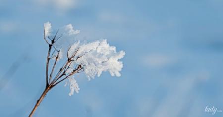 2b486bc10cf380f66228e7fc830f3519_13.02.26