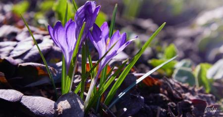 2c30fa21378ac77640b17da7804aeabe_28.02.26