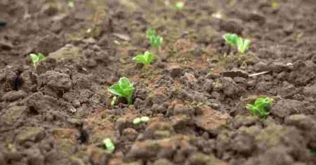 2c7808c02a4c1ed25663d05214574e6d_03.03.26_1