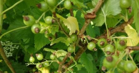 2da3f5f773086291336f3816e9bebfff_30.03.26_1