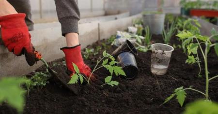 2df9b653c3649d94028e72ea4f665a2a_24.03.26_1