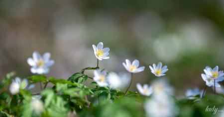 2ea9eec47b5199a5f209737f22ae1cb4_26.04.26