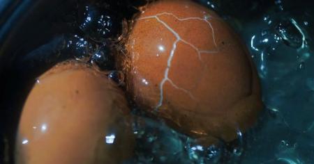 2eaeec1df6e41bb866f90f191e85642b_23.03.26_1