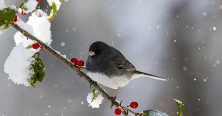 2f8d558f3073d2f3c7f4e070b875a56f_11.02.26_1