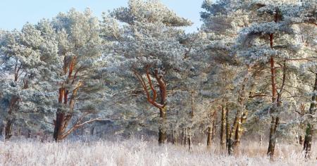 30bec93af192d55be3ee70ca4fec5101_17.02.27