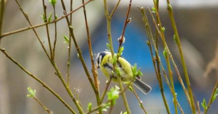 32660bb8a64b3cf8e5f44e13e37d0582_20.03.26_1