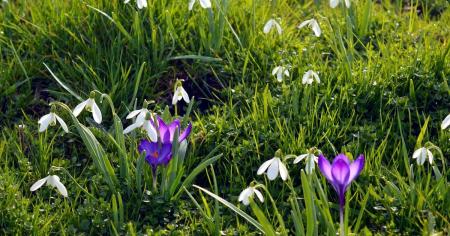 333d7c3bcf439979ed4af8ee7ddb7691_23.03.26