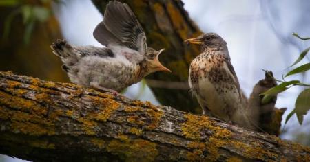 33870714f5c3db6193ec24595ab50e1e_11.04.26_1