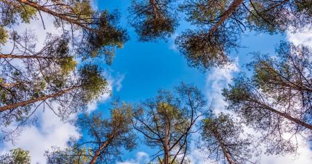 3443228c60f0c4ca9470b252db4a4864_03.03.26