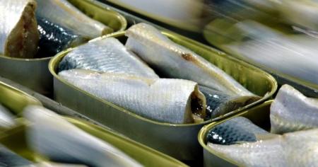 36dc22bc82b4e4ec21b6e7680228e463_22.03.26_1