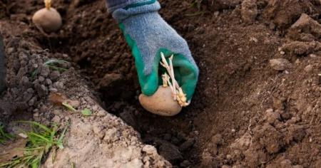 37b4b11c2de25c0dbdd4271fe963f876_03.04.26_1