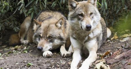 37e626c9361bf777106f18c273238024_27.04.26