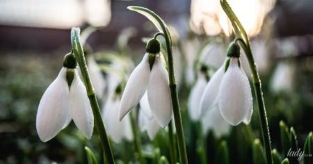 3808f6d2d77fd46c3c04a4e6874298d0_02.03.26_1