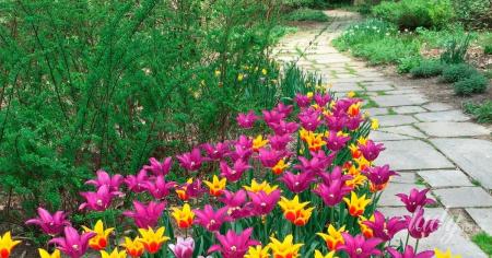 38fa5fe4d247e24ae5713798c254bddb_20.04.26