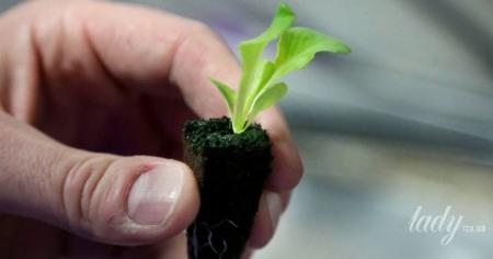 394286f5c6a1f57b07cde4e1f47174fc_19.04.26_1