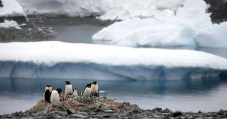 3ace11854c19085f8e7e033fcb2922c3_21.02.26_1