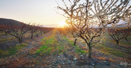 3b76c8d5446c8ed49afc478476e473cd_15.03.26