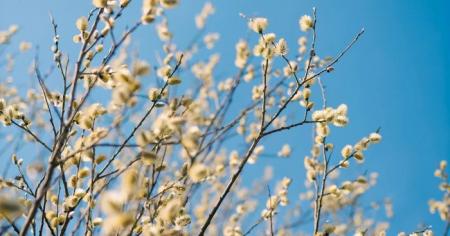 3be4feb4f3ef9586fb585427cd2fe635_05.03.26_1