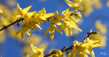 3c8f796b46c34921f6bbf282f3d67a85_21.03.26_1