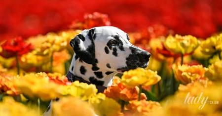 3d101f5f449a81ea11ca5c461633c704_24.04.26_1