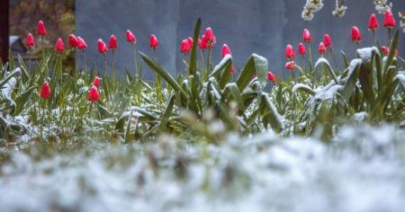 3e2d419f69c6b40921a9ccb8e7ebfb12_23.03.26