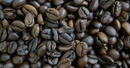 406a270119cbc9291600d7d130f7830c_19.02.26_1